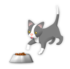 Корма
